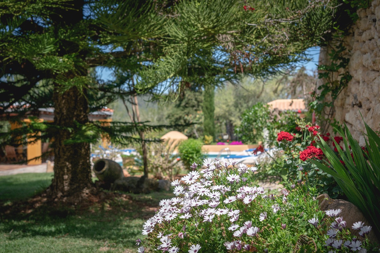 Villa  Vichy I Image No. 30